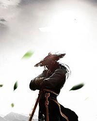 浅遇深欢